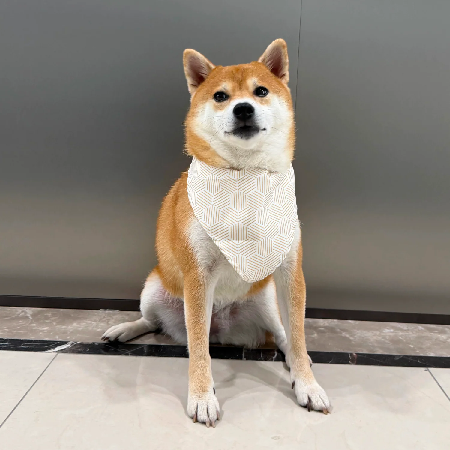 MOVA Pet Bib | Stylish Soft Dog Scarf with Adjustable Fit - Image 3